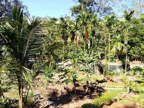 Orchid Bungalow & Restaurant Timbanglawang Exterior photo